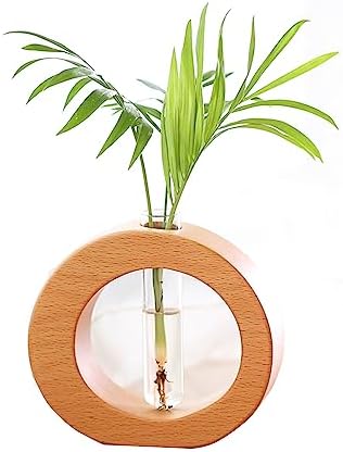 Test Tube Vase with Wooden Stand, Simple Design Fashion Hydroponics Glass Planter Holder for Hydroponic Plants Home Garden Decoration(#1) by RXMORI