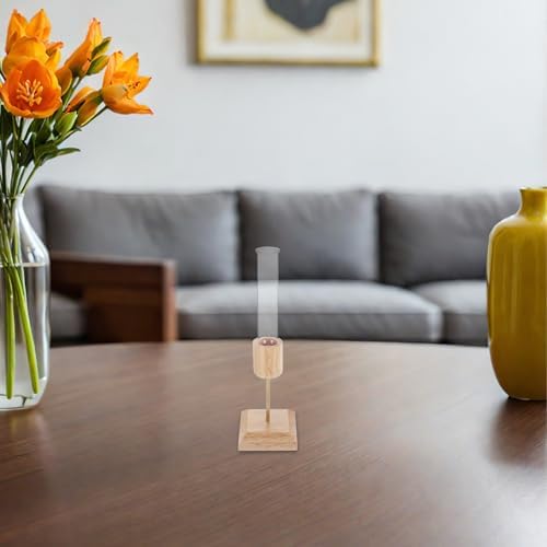 2pcs Glass Vase with Wooden Stand for Plant Propagation, Hydroponic Test Tube Terrarium, Stable Construction and Spacesaving Desktop Decor for Living Room and Bookshelf - Image 6