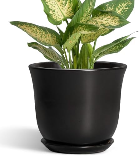 Ceramic Planter - 5.6 Inch Plant Pot for Indoor Outdoor, Round Succulent Pots with Drainage Hole and Saucer, Orchid Flower Pot, Modern Planter, Home Office Decor, House Warming Gifts, Black by SUNPOTFOR
