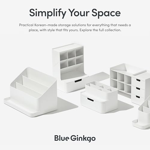 BLUE GINKGO Desk Organizer Tray, Beige, Made in Korea - Image 6
