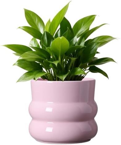 Ceramic Plant Pot,6 Inch Planters for Indoor Plants,Ceramic Planter Flower Pots with Drainage Hole,Home Office Garden Décor,(Pink,Inner-pots not Larger Than 5 Inch) by FUYHE
