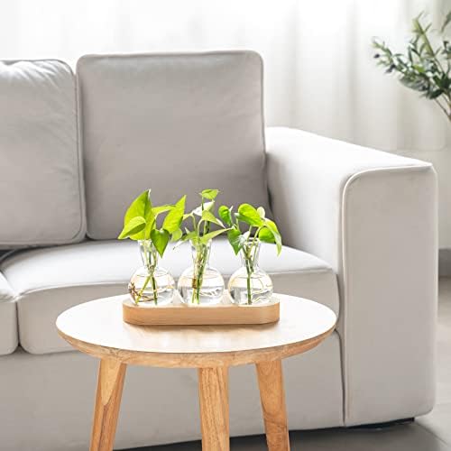 Mkono Plant Propagation Station, Desktop Glass 3 Bulb Vase Beige Wood Tray - Image 2