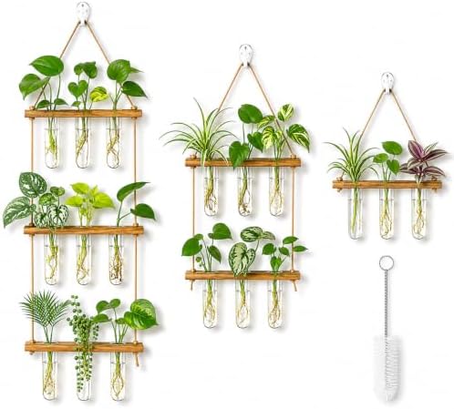 Leumoi 3pcs Hanging Propagation Station, Vertical 18 Glass Test Tubes by Leumoi