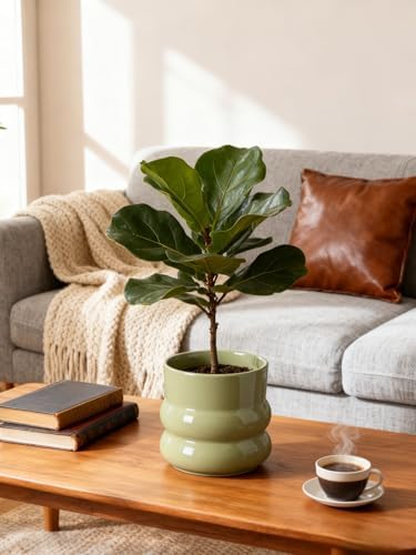Ceramic Plant Pot,6 Inch Planters for Indoor Plants,Ceramic Planter Flower Pots with Drainage Hole,Home Office Garden Décor,(Green,Inner-pots not Larger Than 5 Inch) - Image 2