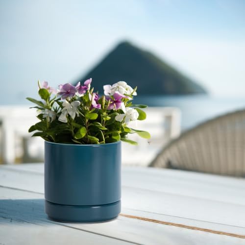 D'vine Dev 4.7 Inch Ceramic Planter Pot, Teal, 94-O-B-9 - Image 5