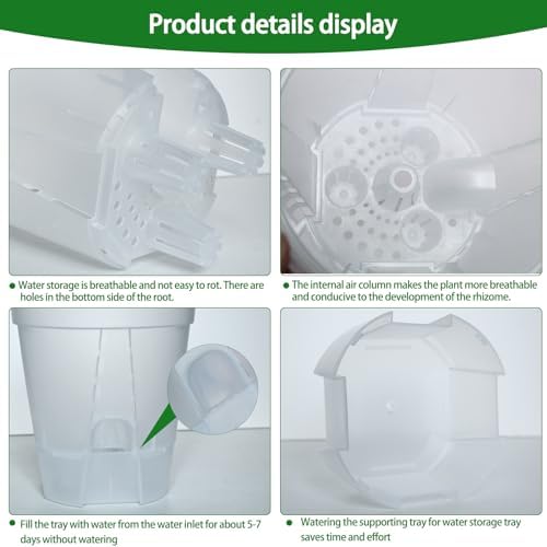 Cdd's Path 5-Pack 6 Inch Self Watering Naked Root Planter Pots with Drainage Holes & Reservoir, Plastic Planters with Air Pipes for Indoor Outdoor Plants，Clear - Image 3
