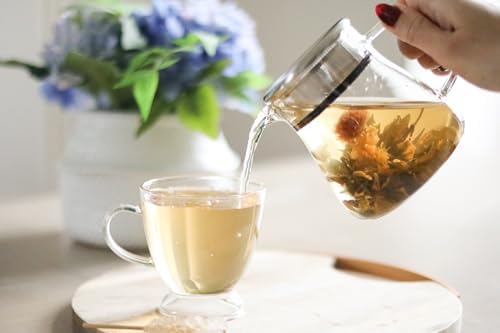 Teabloom One-Touch Tea Maker, 2-in-1 Teapot and Kettle with Stainless Steel Filter Lid for Loose Tea – Stain-Free Borosilicate Glass Tea Pot (15 Oz) – Tea Connoisseur's Choice (Pack of 2) - Image 3