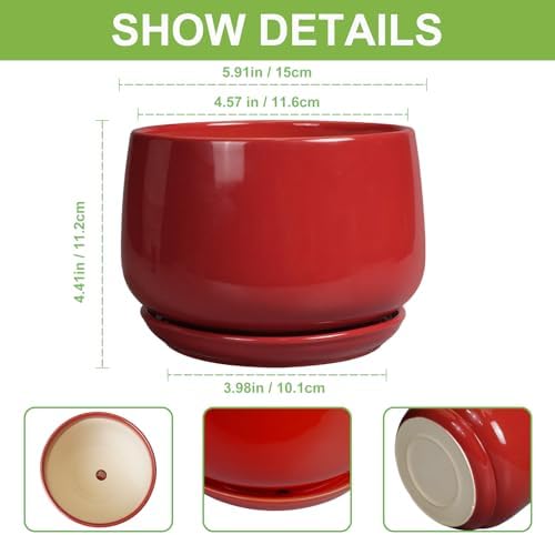 G EPGardening Ceramic Pot for Plants - 6 Inch Plant Pot with Drainage and Ceramic Tray, Modern Living Room Decor, Planter for Housewarming Gifts New Home, Red - Image 3
