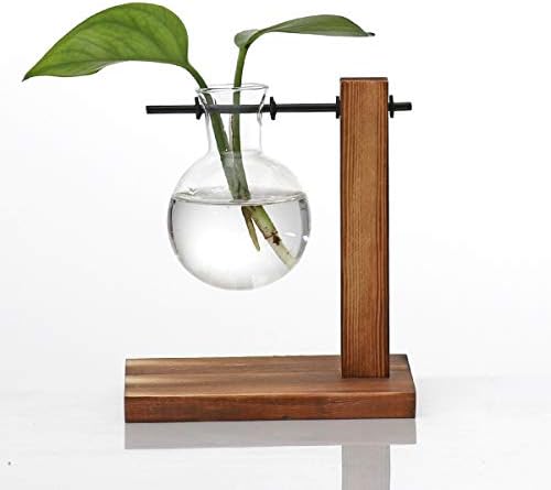 Kingbuy Glass Planter Bulb Vase Desktop Plant Terrarium with Retro Solid Wooden Stand for Propagation Hydroponics Water Plants Home Garden Office Decor by Kingbuy