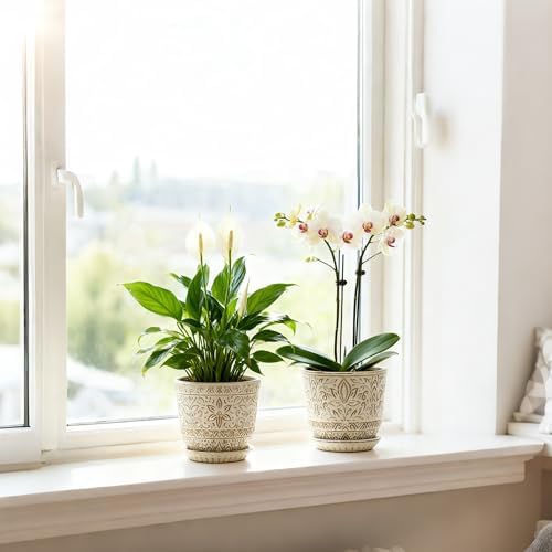 Gepege Ceramic Plant Pots, 6 Inch Indoor Planters with Drainage & Saucers - Image 5