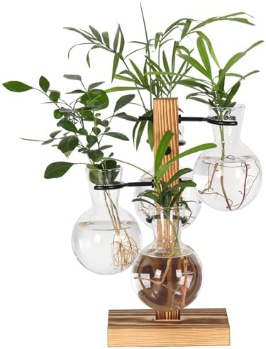Plant Propagation Station with 4 Glass Vases & Wood Stand, Hydroponic Air Planter for Indoor Plants, Unique Gardening Gift for Women & Plant Lovers, Desktop Terrarium for Home Decor - Image 2