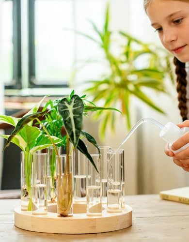 Melphoe Glass Bud Vases Small Flower Vase for Centerpieces Wedding Table Decorations, Home Decor, Propagation Station Plant Terrarium with Wooden Stand, Unique Plant Lover Gifts for Women (Beige) - Image 3