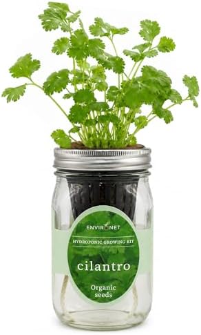 Hydroponic Herb Growing Kit, Self-Watering Mason Jar Window Herb Garden Starter Kit Indoor, Grow Your Own Herbs from Organic Seeds (Cilantro) by Environet