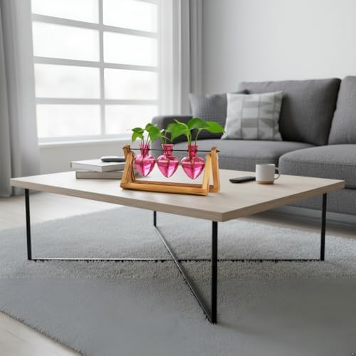 XXXFLOWER Plant Terrarium Propagation Stations 3 Heart Shaped Vases - Image 6