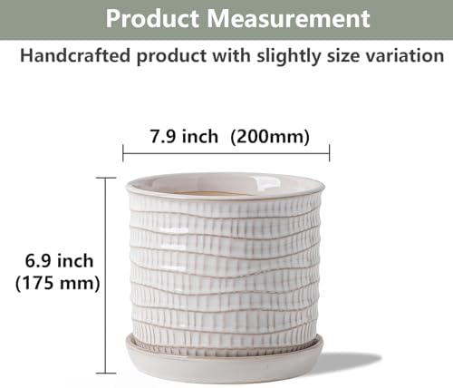 8 Inch Ceramic Plant Pot with Drainage Hole & Separate Saucer - Image 2