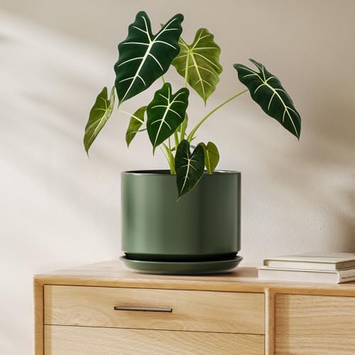 LE TAUCI Ceramic Pots for Plants, 8 Inch Plant Pot with Drainage Hole & Saucer, Modern Planters for Indoor Plants, Round Flower Pot for Snake Plant, Monstera, Perfect for Home Decor, Forest Green by LETAUCI