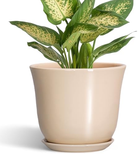 Ceramic Pots for Plants, 5.6 Inch Plant Pot with Drainage, Beige by SUNPOTFOR
