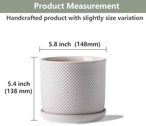 5.8 Inch Ceramic Planter with Drainage Hole & Bonded Saucer - Image 2
