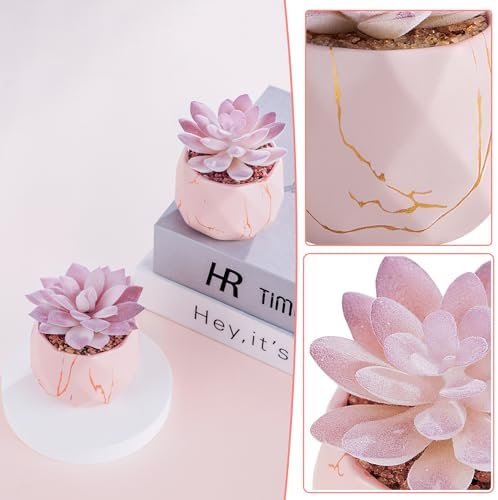 ZENIDA Artificial Succulent Plants in 2 Pink Ceramic Pots, Cute Fake Plants for Vanity Decor,Office, Desk, Bathroom, Kitchen,Bedroom, Shelves Decor for Women,Girls Gift - Image 4
