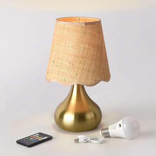 Ziqqeelam Cordless Table Lamp Rechargeable, Good Mini Table Lamp for Nightstand, Battery Operated Small Table Lamp for Small Spaces for Kitchen Counter, Bookshelf, Bedside, Bedroom, Living Room by Unknown