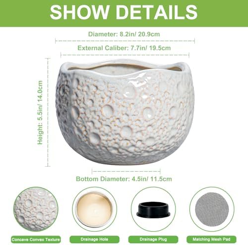 Ceramic Pots for Plants, 8 Inch Planters for Indoor Plants, Grey - Image 3