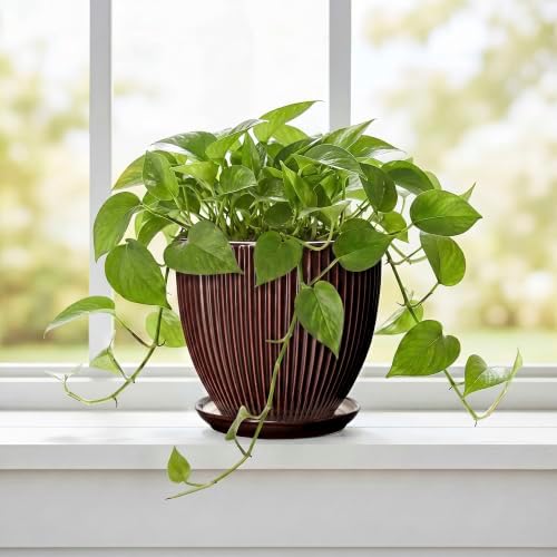 6 Inch Planter, Ceramic Plant Pots Indoor with Drainage Hole and Saucer, Round Flower Orchid Pots for Indoor Plants, Succulent Pot, Small Modern Planter, Bathroom Decor, Brown - Image 5