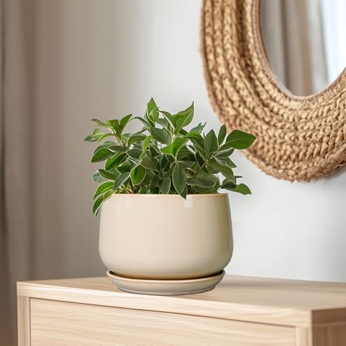 G EPGardening Ceramic Plant Pots - 9 Inch Round Planter, Ceramic Flower Pots with Drainage and Saucer, Modern Indoor Outdoor Planter, Room Decor, Home Gifts, Beige - Image 5