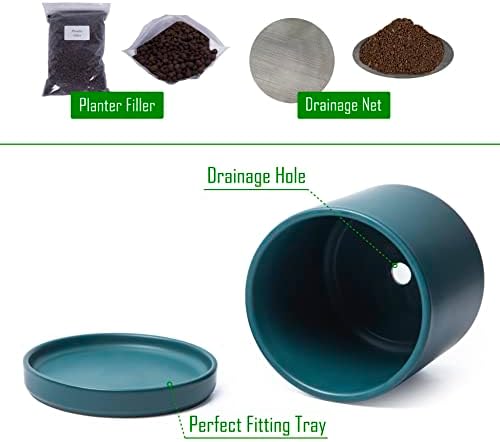 D'vine Dev 6 Inch Ceramic Planter Pot, Teal, 94-O-C-9 - Image 4