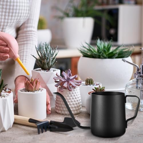 Plant Watering Can, 12 oz / 350 ml Stainless Steel Plant Watering Pot Small Watering Can with Long Spout for Indoor House Plants Flower Bonsai Outdoor Garden - Image 6