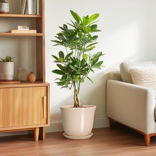 Ceramic Planter, 10 Inch Plant Pot for Indoor Plants, Beige - Image 4