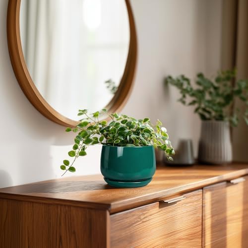 G EPGardening 4 inch Plant Pots - Small Ceramic Planter with Drainage Hole & Tray, Succulent Pots Indoor Outdoor, Round Modern Planter, Decorative Flower Pot, Desk Decor, Gifts for Plant Lover, Green - Image 3
