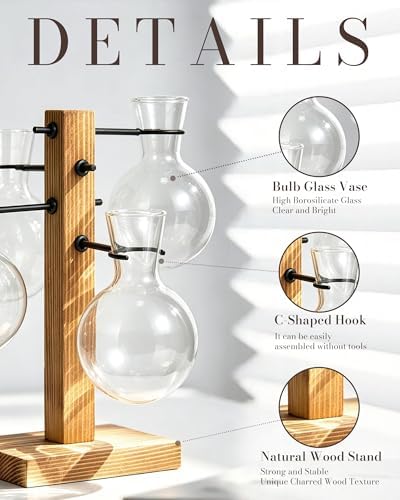 Plant Propagation Stations with Wood Stand, 4 Vases Bulb Shape - Image 5