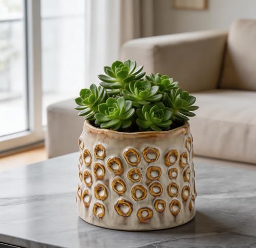 Plant Flower Pot, Small Ceramic 4.5" Modern Flower Pots for Home Office Indoor Outdoor Planters, Planter for Orchid Succulent Cactu Floral, Handmade Textured with Irregular Circle without Drainage - Image 7