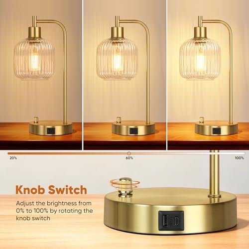 Clear Glass Table Lamps Set of 2, Dimmable Bedside Lamps for Living Room - Image 2