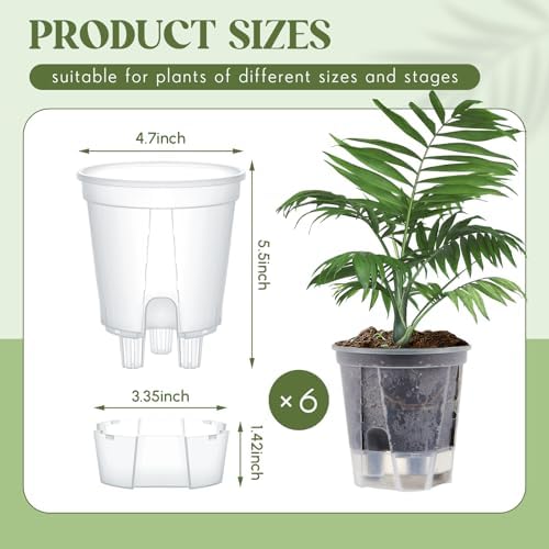 Wonderjune Self Watering Planter, 4.72'', Clear, 6 Pcs - Image 2