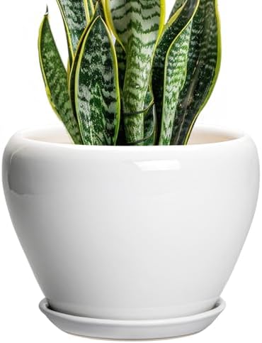 Ceramicfor Ceramic Pot for Plants, 8 Inch Planter, Glossy White by Ceramicfor
