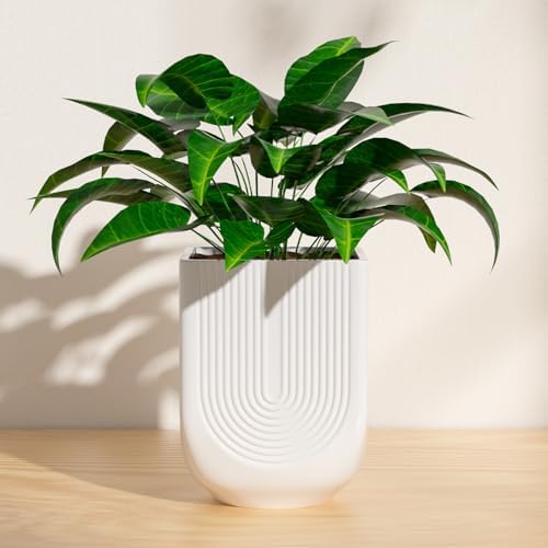 Ceramic Planter, 6 Inch Plant Pot with Drainage, Matte White by XiHuaer