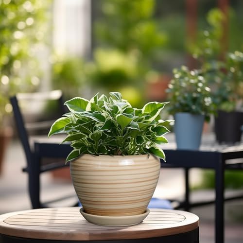 Ceramicfor 6 Inch Plant Pot Ceramic - Decorative Planter for Indoor Plants Succulent Pot with Drainage Hole and Saucer Round Planter Outdoor Flower Pot for House Patio Yellow - Image 6