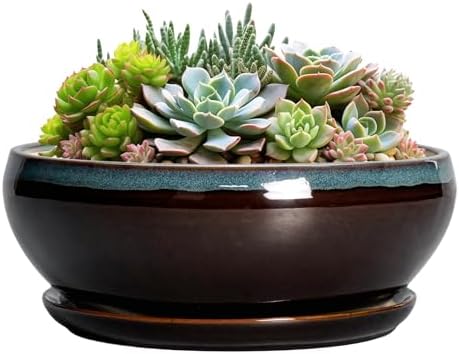 SQOWL Succulent Planters 8 Inch - Ceramic Bonsai Pots with Drainage Hole and Ceramic Saucer, Round Shallow Planter for Indoor Plant, Bowl Planter Outdoor, Desk Decor, Gift for Plant Lover, Blue-Brown by SQOWL