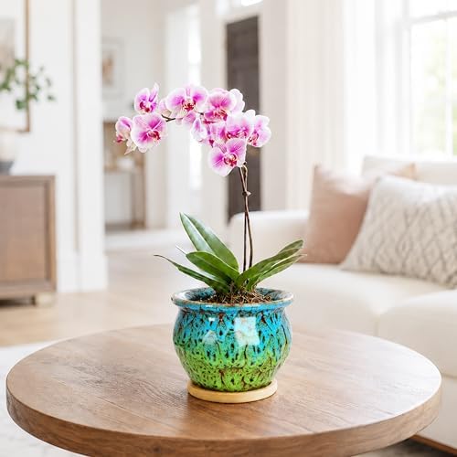 4.5 Inch Plant Pots, Small Pots for Plant Indoor, Succulent Pots with Tray - Image 6