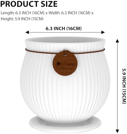 6.3 Inch White Ceramic Planter with Drainage Hole and Saucer - Image 2