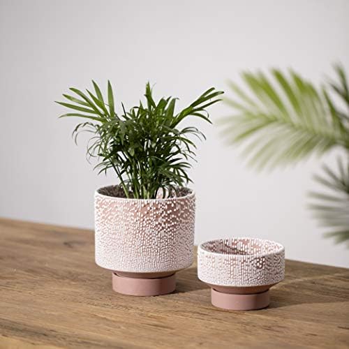 UBEE Planter Ceramic Flower Pot for Indoor Plants | 5.5 inch + 4.9 inch Plant Pot with Saucer and Drainage Hole for Aloe, Snake Plants, Pothos, Orchid, Terracotta with White Glaze Dot - Image 3
