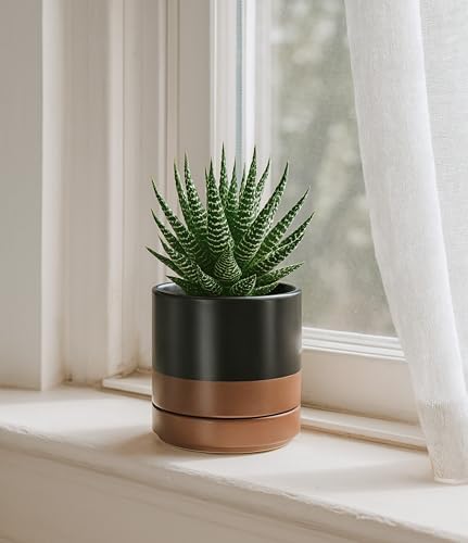 D'vine Dev 4.7 Inch Ceramic Planter Pot, Black/Tan, 94-O-B-7 - Image 2