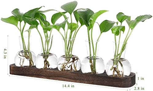 YIBOT Propagation Vases for Plants Terrarium with Wooden Tray,5 Glass Vases - Image 2