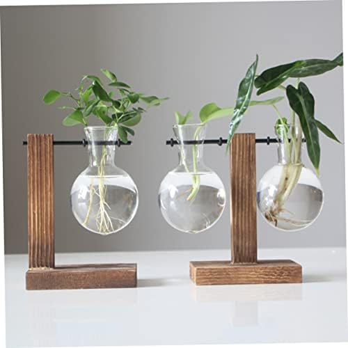 Hydroponic Glass Vase with Wooden Stand, Water Planter - Image 7