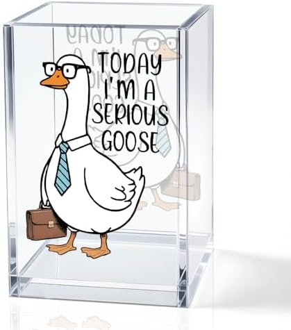 Today I'm A Serious Goose Acrylic Cosmetic Pencil Holder Cup, Funny Silly Goose Pen Holder Gifts For Women Men Friends HR Boss, Office Sarcastic Humor Gifts for Coworkers, Goose Lover Present by QYUVK