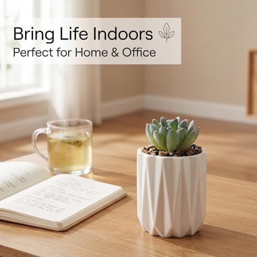 Succulent Plant Pots Ceramic Plant Pots and Drainage Hole Bonsai Planter Small Flower Pots for Indoor Outdoor Use for Home Office Garden Decoration,Plants Not Included (White) - Image 5