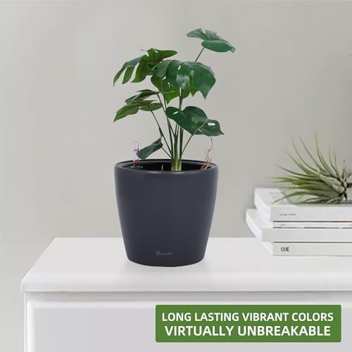 Dexceder 9x8 Self Watering Planter (Slate Gray Matte) - Image 6