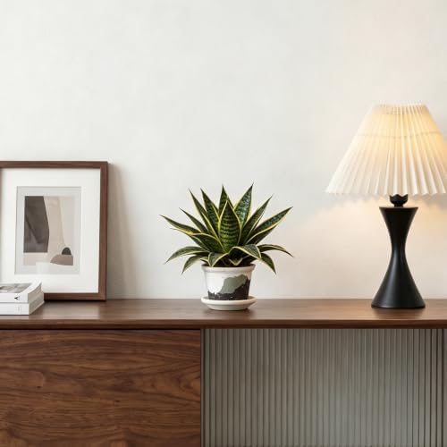 2.5 Inch Mini Ceramic Planter Pot with Drainage Hole and Saucer, Round Flower Pot for Indoor Plants, Cactus Herbs Windowsill Decor(White&Green) - Image 3