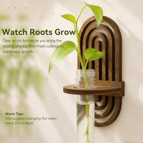 Artilady Plant Propagation Station Wall Hanging, Wood Arch Terrariums Tube - Image 3